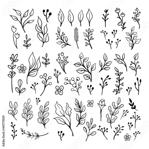 Floral ornaments doodle set. Hand drawn tree branches with leaves and flowers