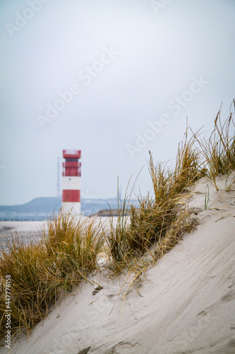 Hochseeinsel Helgoland, Deutschland photo