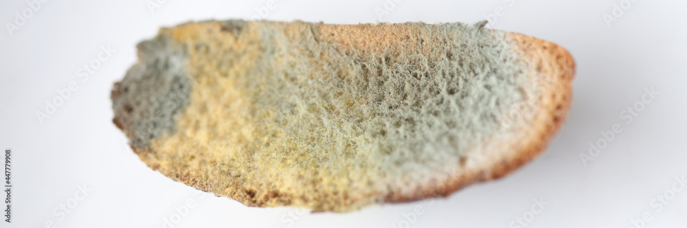 Piece of bread with green mold lying on white background closeup Piece of bread with green mold lying on white background closeup