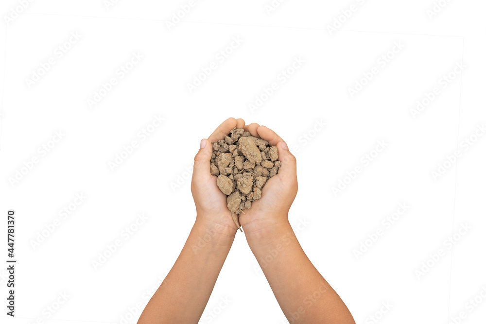 Soil in children's hands for planting trees. Isloated on white background. Soil in children's hands for planting trees. Isloated on white background.