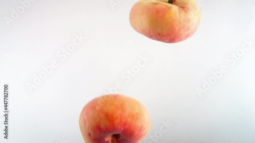 Closeup 4k footage of donut peaches falling in water against white backgorund. photo
