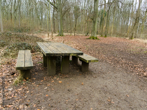 Picnic table in the woods