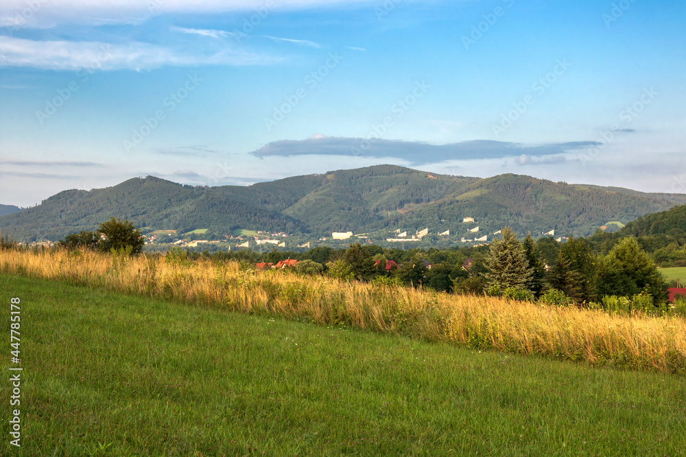 View on Ustroń from a meadow in Cisownica