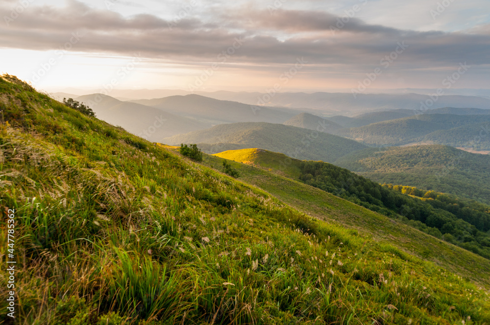 View of the Bieszczadzkie peak from Połonina Caryńska, Bieszczadzki National Park, Wetlina View of the Bieszczadzkie peak from Połonina Caryńska, Bieszczadzki National Park, Wetlina