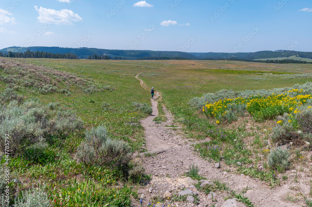 Obraz premium Hiker on Clear Lake Trail