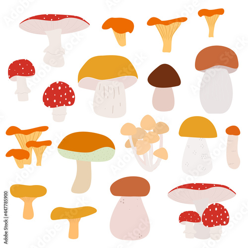 Vector set with different edible and non-edible mushrooms isolated on white background. Flat food illustration.