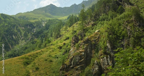 Raue Alemnlandschaft in den Alpen 