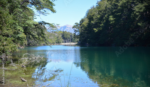 river of green waters, rivadavia river in los alerces national park photo