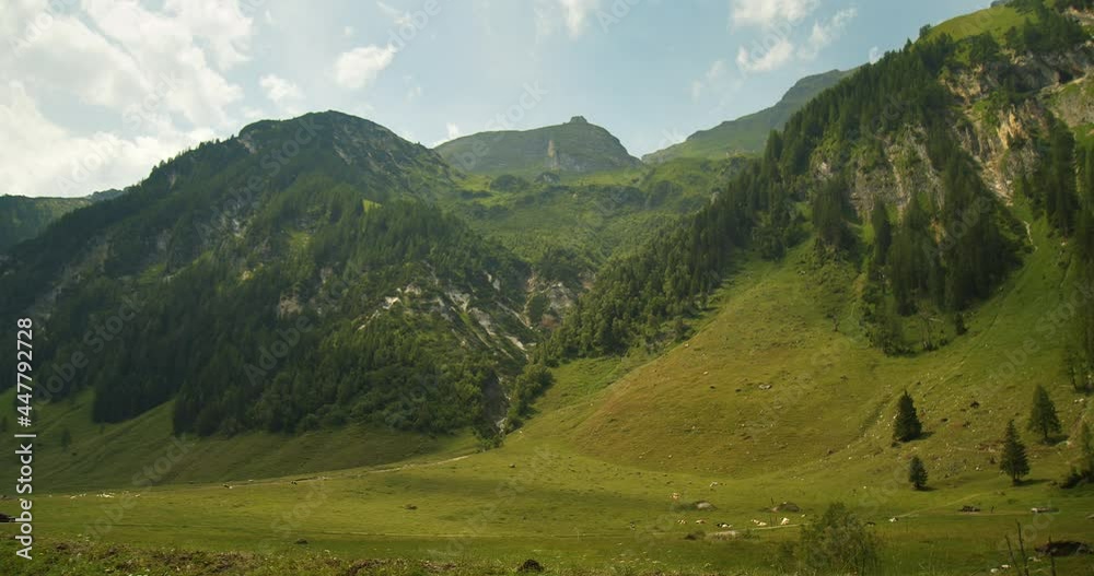 Almlandschaft in den Alpen Almlandschaft in den Alpen