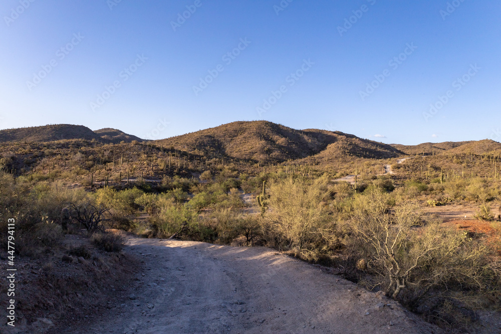 Desert Landscape with an Off-Road Trail