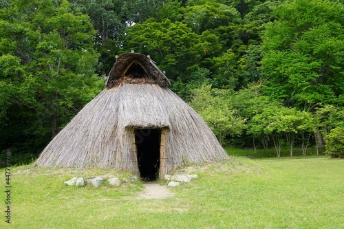 竪穴式住居（夏）/Japanese pit-house dwelling in the woods photo