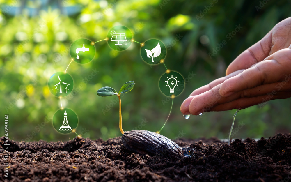 Plants growing on soil and hands watering plants with icons related to