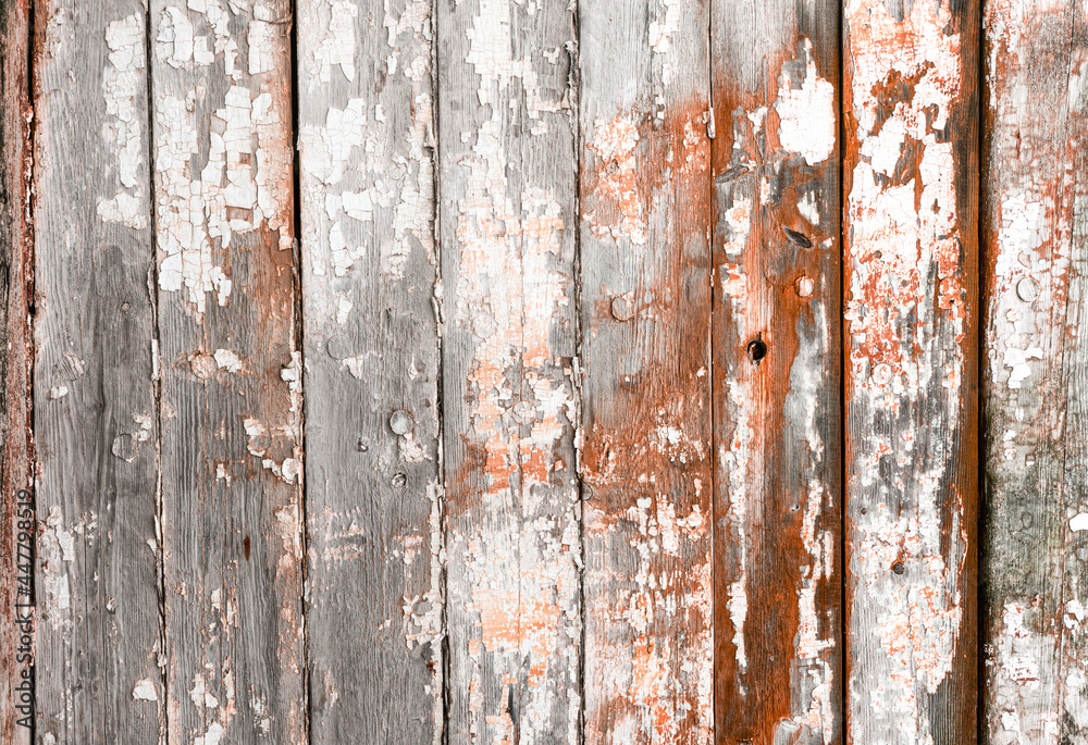 Old wood texture with natural grey patterns with remnants of old paint . Old wood texture with natural grey patterns with remnants of old paint .