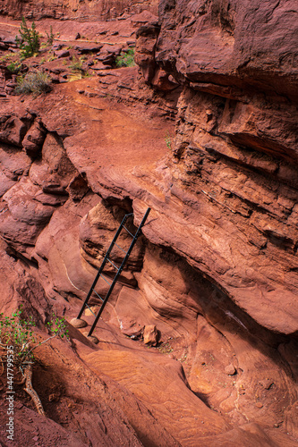 A ladder assists hikers maintain their trek along the Fisher Towers Trail in Moab Utah