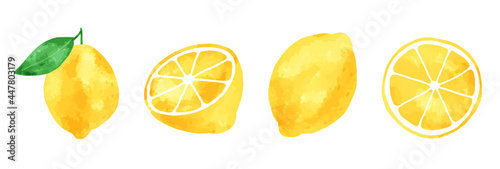 Hand-painted lemon fruit item