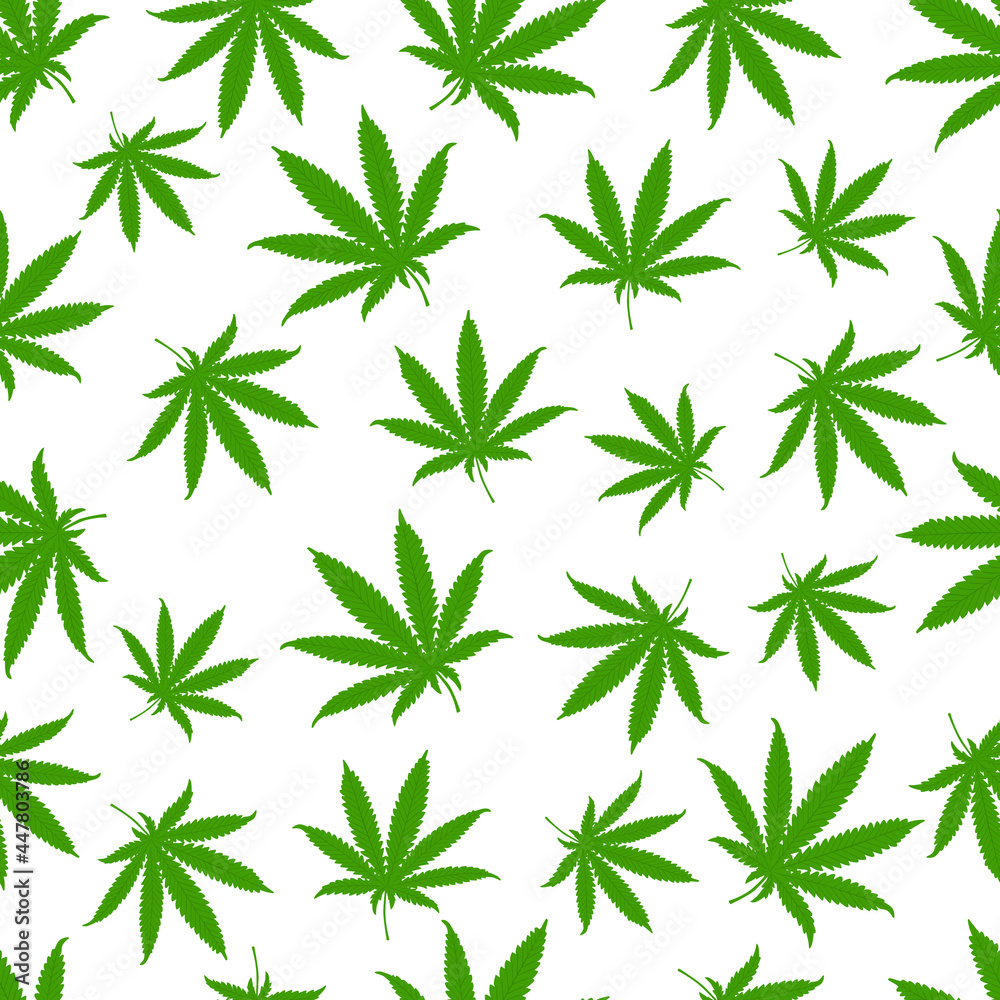 Seamless pattern with hemp leaves on a white background. Vector illustration.