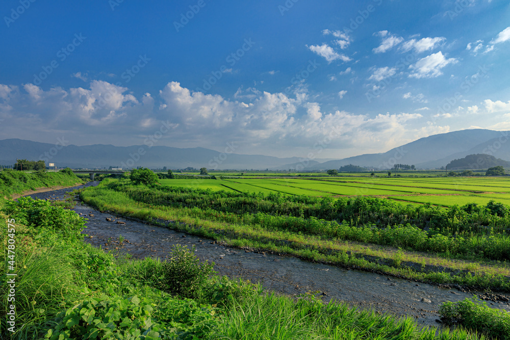 長野県・木島平村 朝の川と水田の風景
