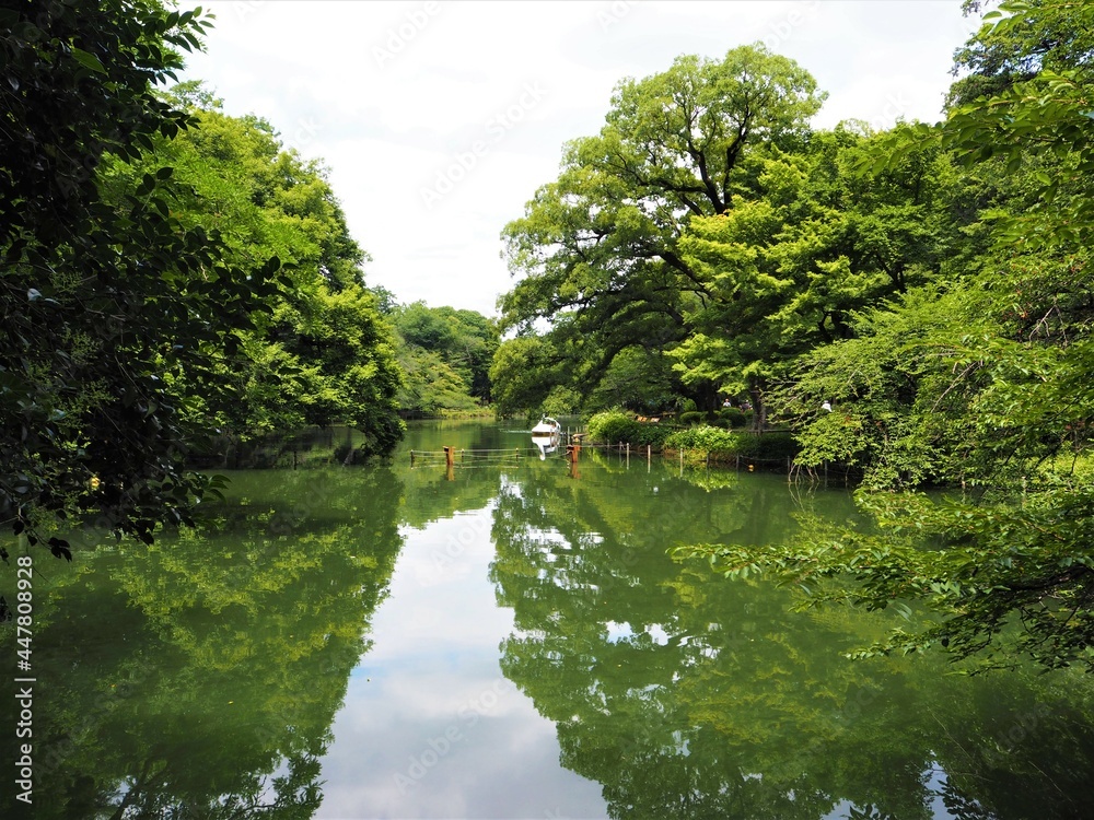 Fototapeta premium Inokashira Park in Tokyo, Japan