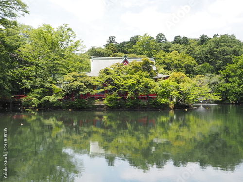 Inokashira Park in Tokyo, Japan