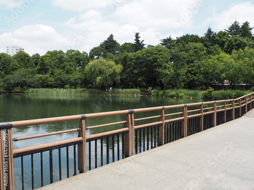 Inokashira Park in Tokyo, Japan