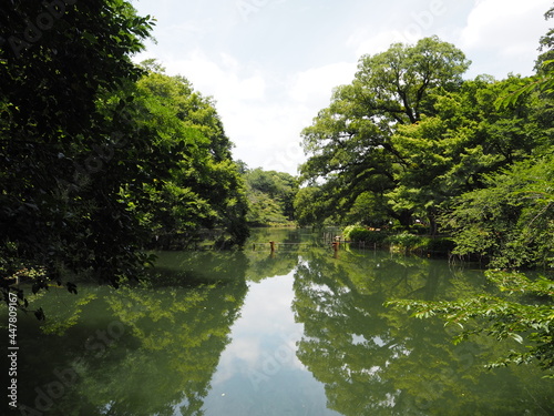 Inokashira Park in Tokyo  Japan