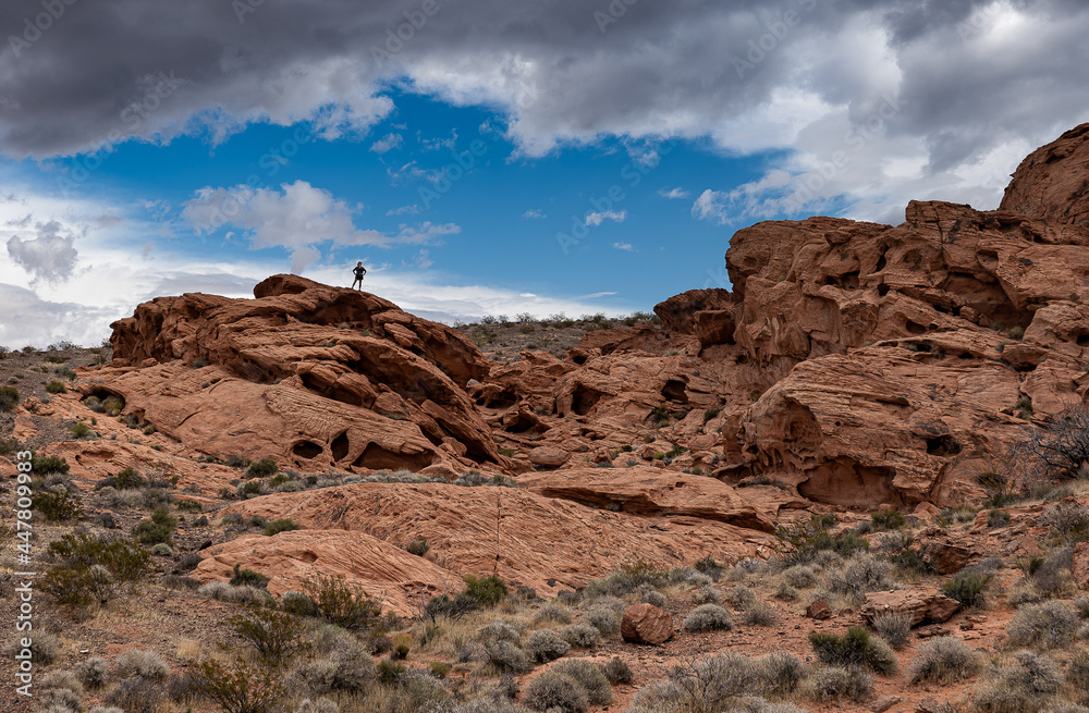 Desert Hiking