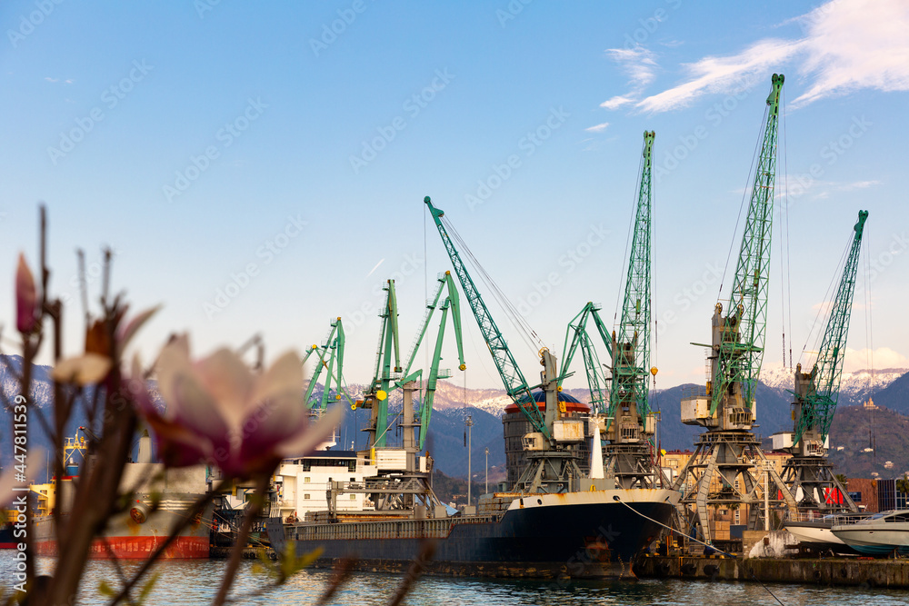 Modern view of cargo terminal mooring line of Batumi Sea Port with cranes loading ships on spring day, Georgia.
