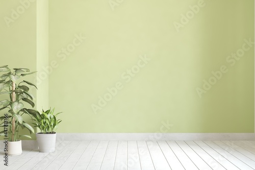 Fototapeta Naklejka Na Ścianę i Meble -  Empty room in green color. Scandinavian interior design. 3D illustration