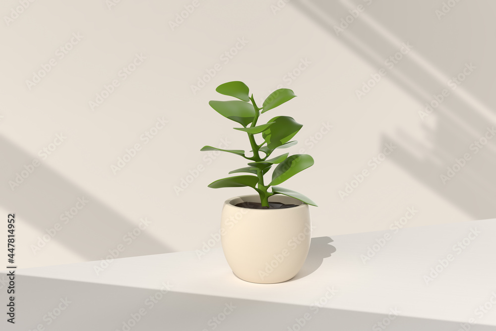 Fototapeta Tree pot in white background. minimal concept idea creative. 3D render.