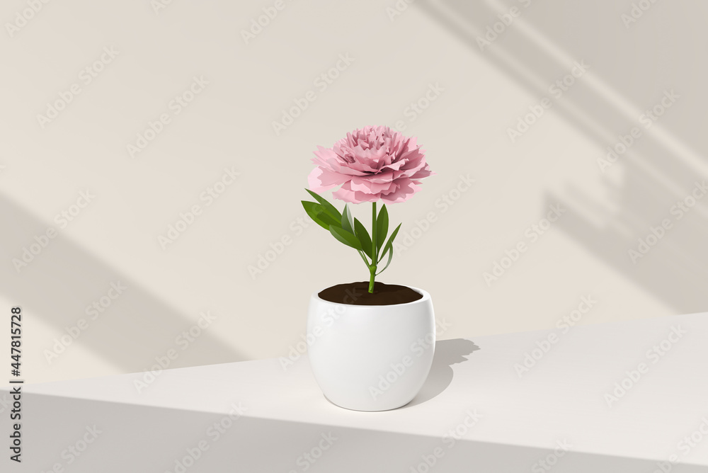 Tree pot in white background. minimal concept idea creative. 3D render.