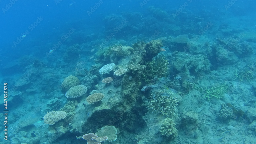 マレーシア　ティオマン島の海