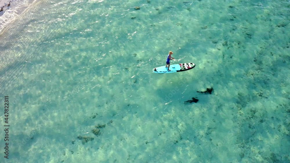 Stand-up Paddling On Clear Blue Sea Surface In The Bahamas With Nurse Sharks Swimming Underwater. aerial Stand-up Paddling On Clear Blue Sea Surface In The Bahamas With Nurse Sharks Swimming Underwater. aerial