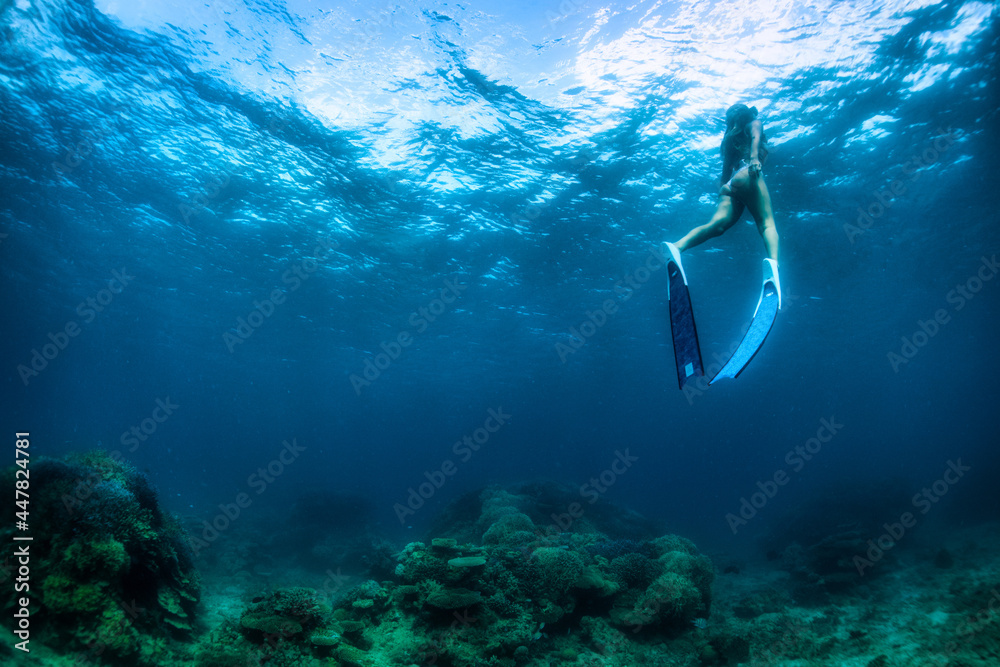 Fototapeta premium 人魚達の舞