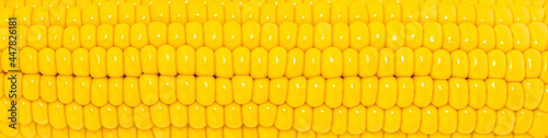 corn texture background. Corn grains close up