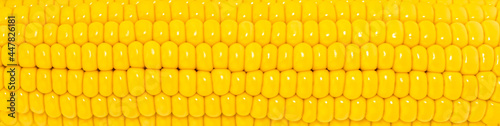 Obraz na płótnie corn texture background. Corn grains close up w salonie