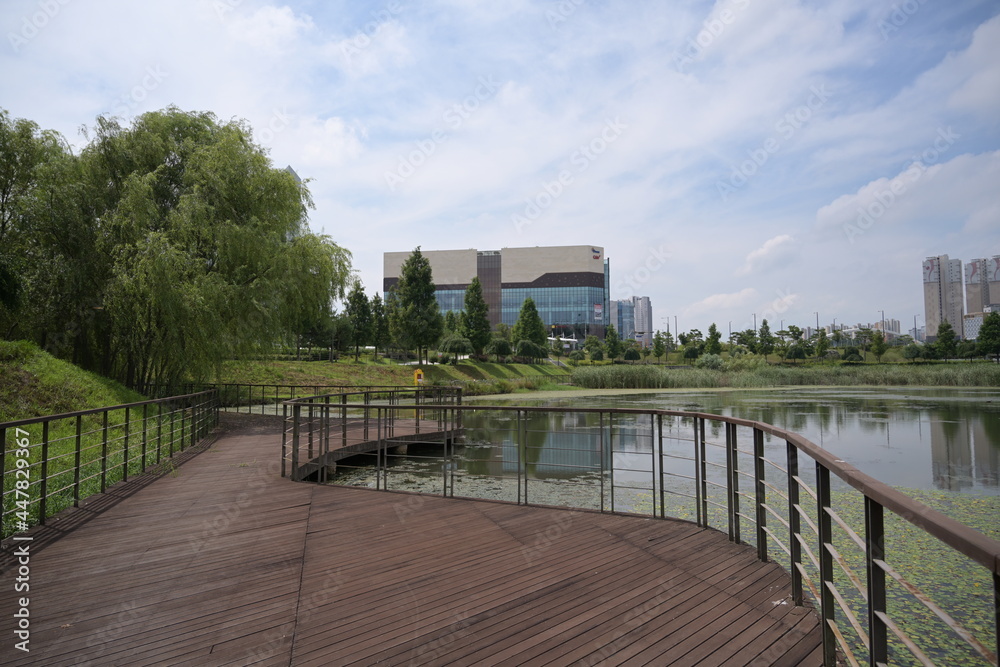 Obraz premium beautiful park with pond and trees