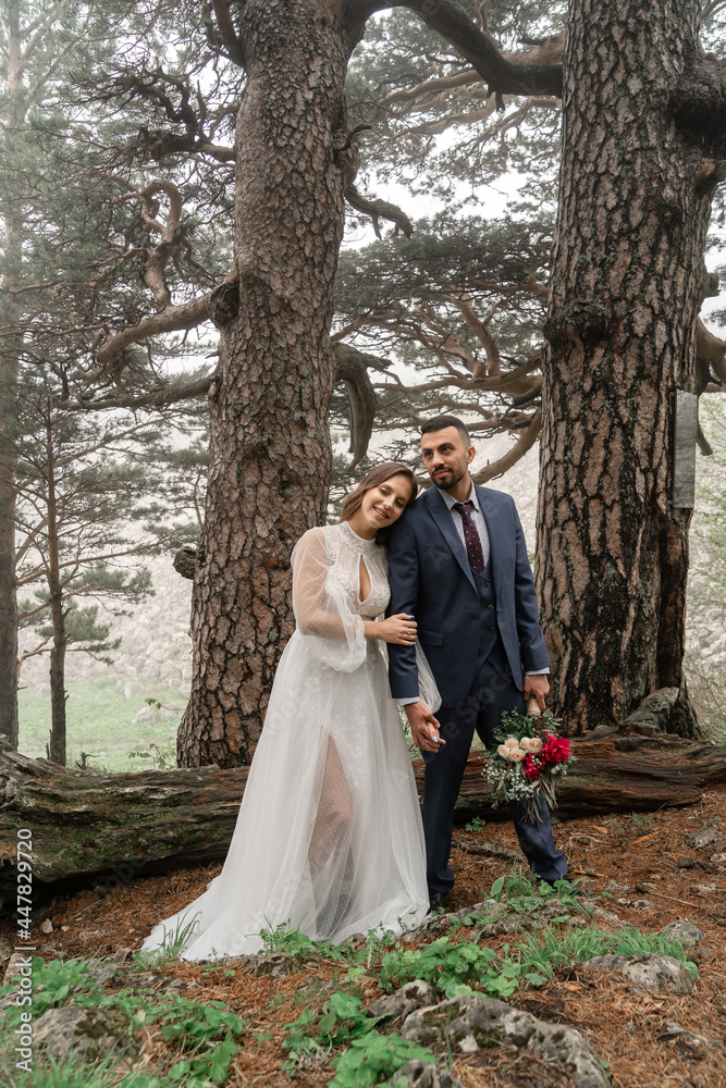the bride and groom hug in a mysterious misty mountain forest. honeymoon