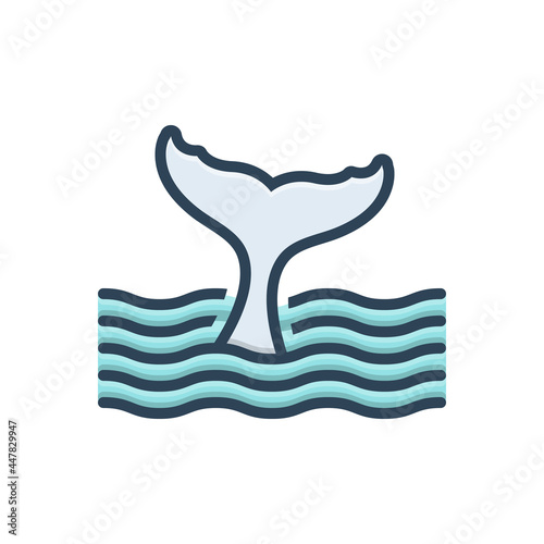 Color illustration icon for tail rump 