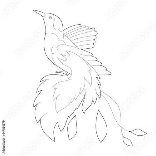 Contour linear illustration for coloring book with paradise bird. Beautiful tropical exotic bird,  anti stress picture. Line art design for adult or kids  in zentangle style and coloring page.
