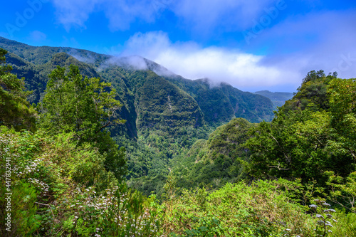 Levada do Caldeirão - hiking path in the forest in Levada do Caldeirao Verde Trail - tropical scenery on Madeira island, Portugal.