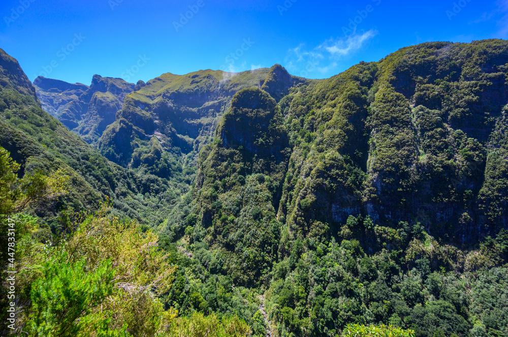Levada do Caldeirão - hiking path in the forest in Levada do Caldeirao Verde Trail - tropical scenery on Madeira island, Portugal.