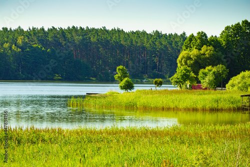 Fototapeta Naklejka Na Ścianę i Meble -  Lake with green reeds on Masuria, Poland
