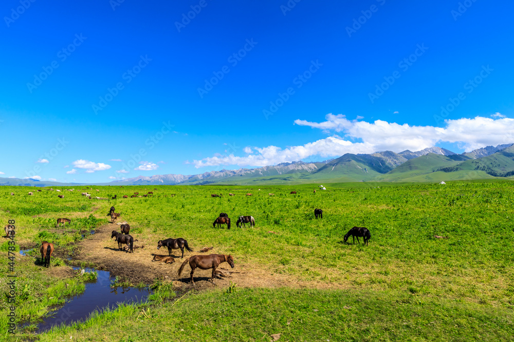 Nalati Grassland natural scenery in Xinjiang,China. Nalati Grassland natural scenery in Xinjiang,China.