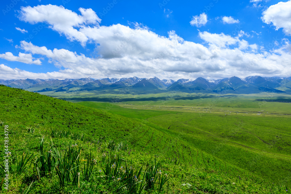 Nalati Grassland natural scenery in Xinjiang,China. Nalati Grassland natural scenery in Xinjiang,China.