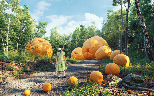 the girl in the wonder forest. photo