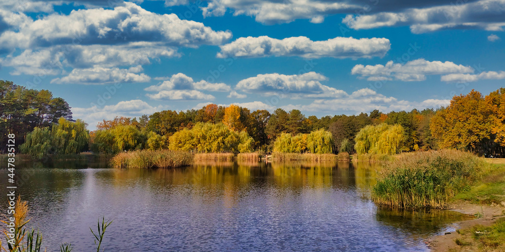 Autumn on the lake on the outskirts of the city Autumn on the lake on the outskirts of the city