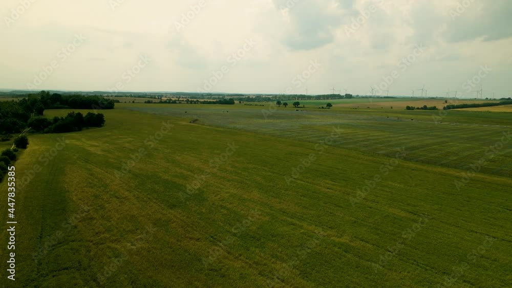 Aerial Green meadows fields for a solar farm biggest in Central Europe Zwartowo Pomerania, Poland Aerial Green meadows fields for a solar farm biggest in Central Europe Zwartowo Pomerania, Poland
