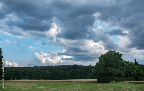 Landscape with meadow, field and forest and dramatic clouds in white and gray in the shadows.