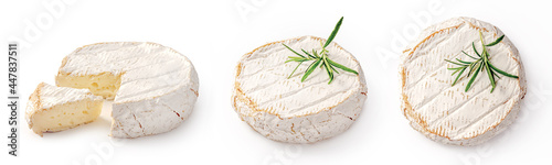 Fresh camembert cheese with sliced camembert isolated. Camembert cheese piece with rosemary on white background. Set of camembert cheeses. photo