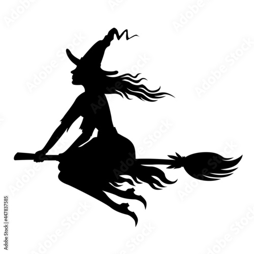 Witch on broom fly